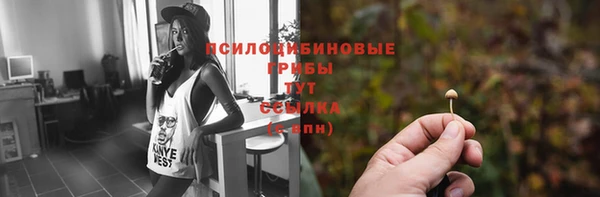 не бодяженный Дмитриев