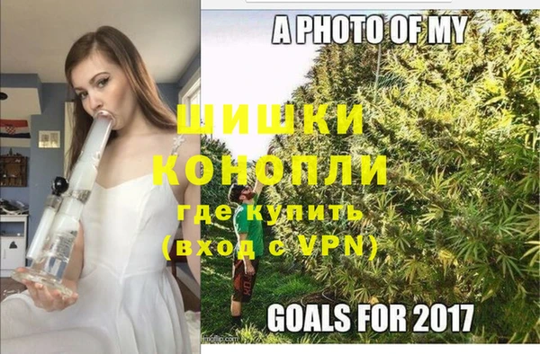 не бодяженный Дмитриев