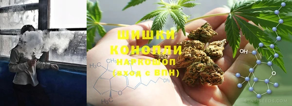 стафф Дмитров