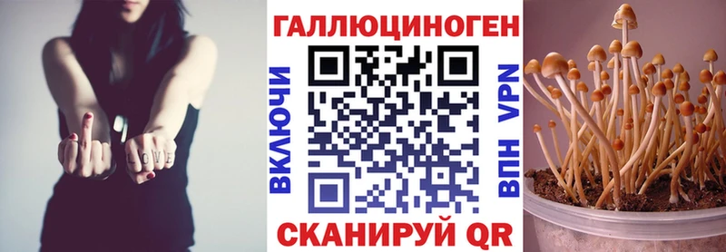 Псилоцибиновые грибы MAGIC MUSHROOMS  Канск 