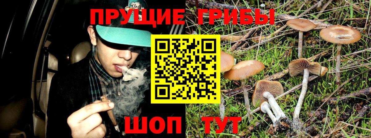 Канск  Галлюциногенные грибы прущие грибы  Галлюциногенные грибы MAGIC MUSHROOMS  Вход с VPN 