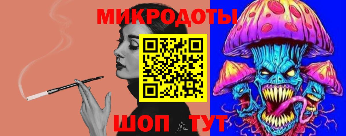 Галлюциногенные грибы Psilocybine cubensis Канск